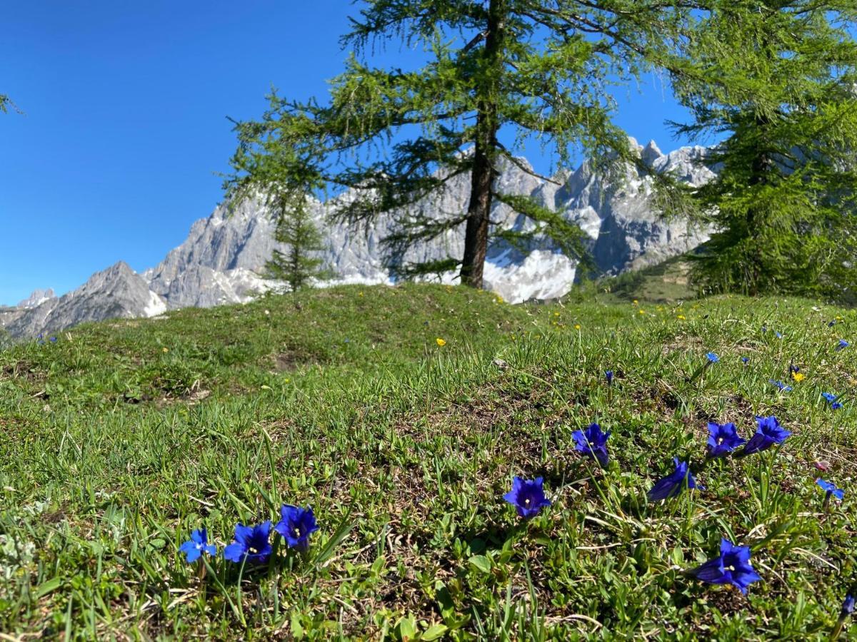 Haus Sonnleitner Apartment Ramsau am Dachstein Luaran gambar