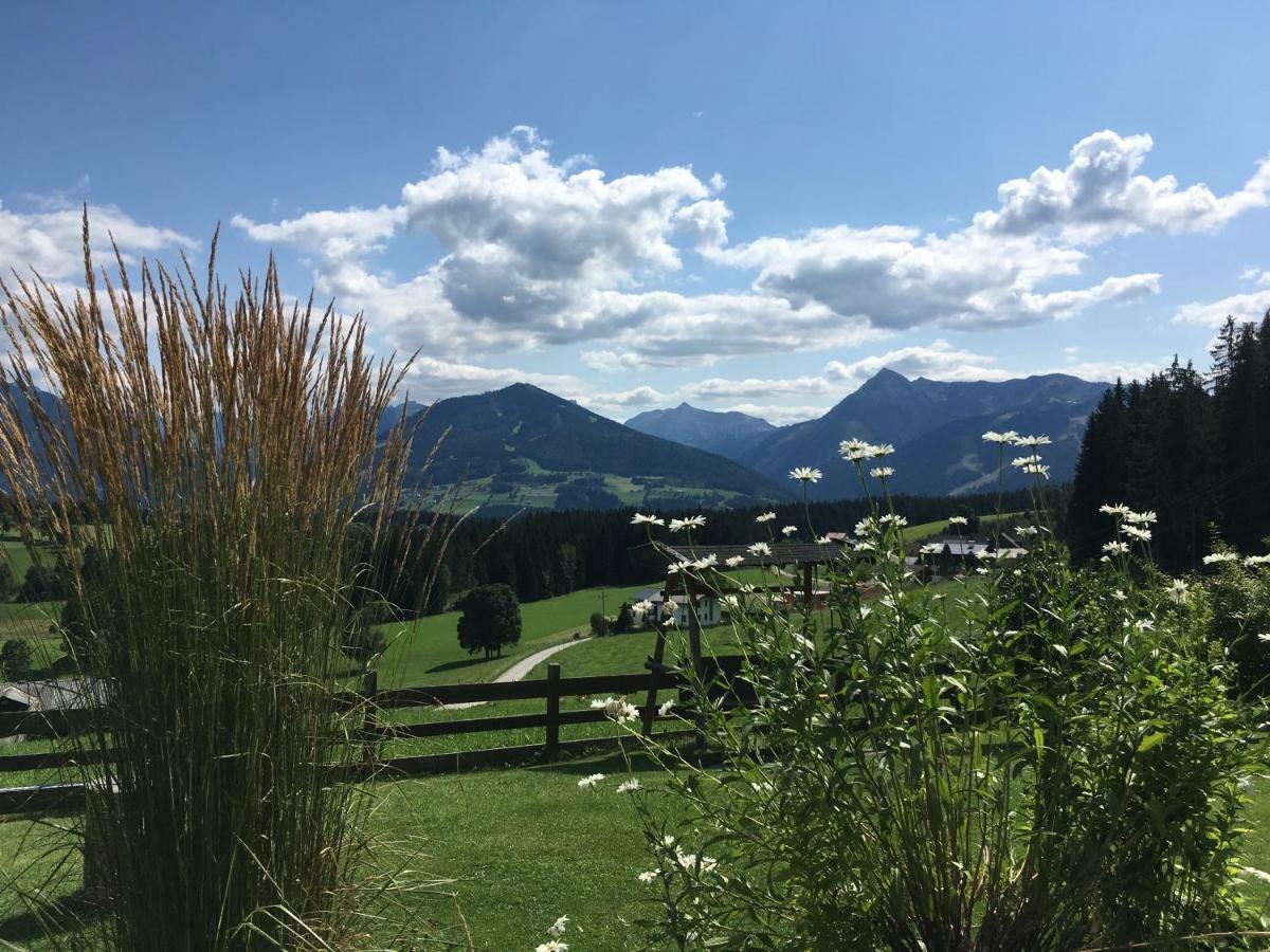 Haus Sonnleitner Apartment Ramsau am Dachstein Luaran gambar
